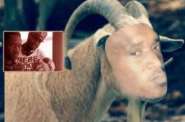 Bebe Cool Explains Why He Named His Goat, A Pass