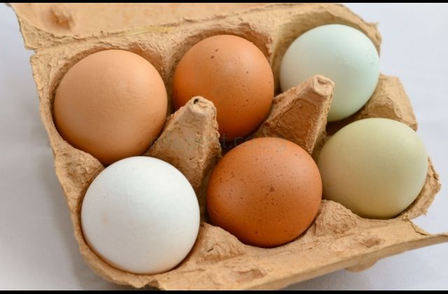 UNBS Clarifies on “Fake Eggs” Media report