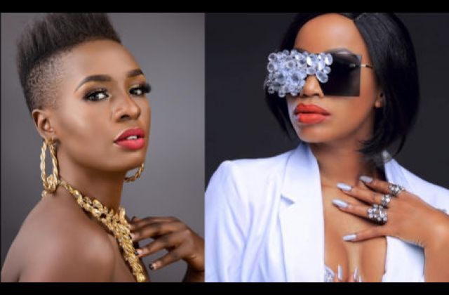 Sheebah Is The Original Dummy, Vinka Follows - Cindy Roars Again