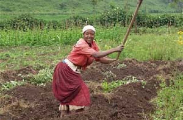 Farmers advised to prepare for cultivation as rains set in