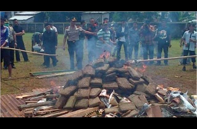 Indonesian Police Burn 3.3 Tons Of Weed; Gets Entire Town High