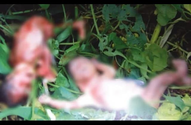 Shocker! Mother dumps dead twin babies in a canal