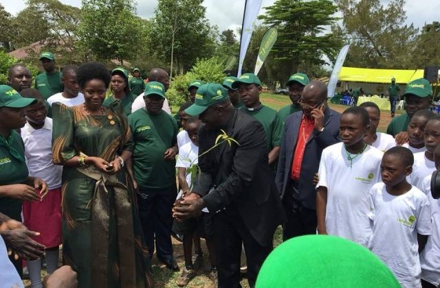 Umeme Commits to Protect the Environment as Company Kicks off tree planting Drive in Mityana