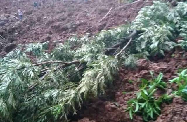 5 Dead in Bududa district as Landslides hit again