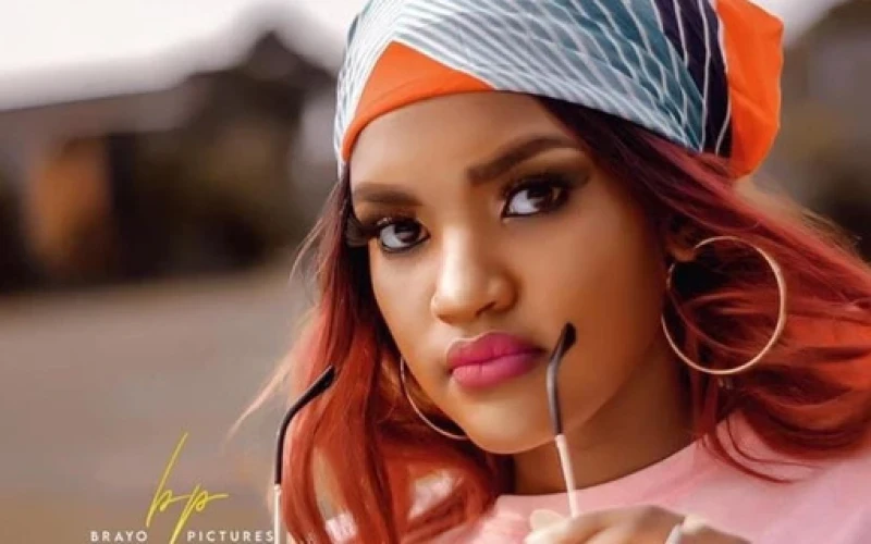 UNMF Refused to Sponsor My Studio & Video Work — Fille