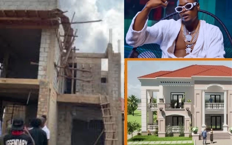 I Have Spent Over One Billion Shillings Constructing My House – Pallaso