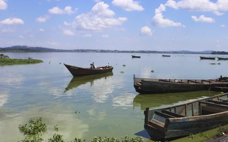Ministry Explains The Green Colour On Lake Victoria