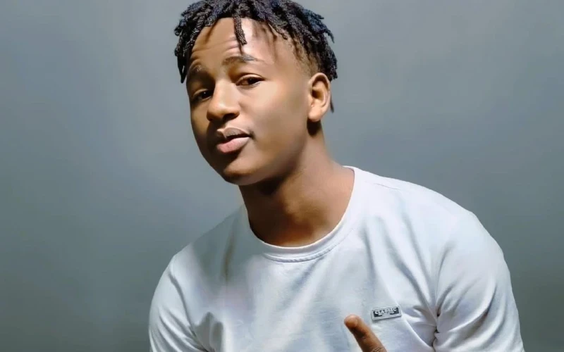 I Am Not Ready to Have Children – Biswanka