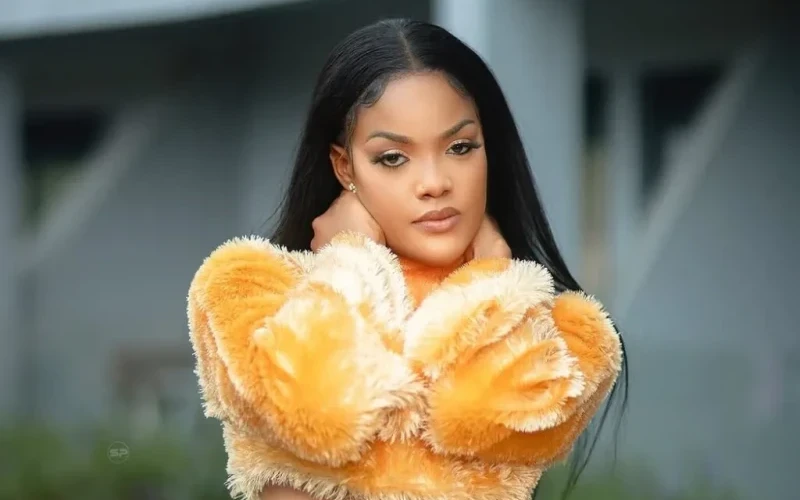 I’m Looking for a Promoter! - Ava Peace Ready for First Concert