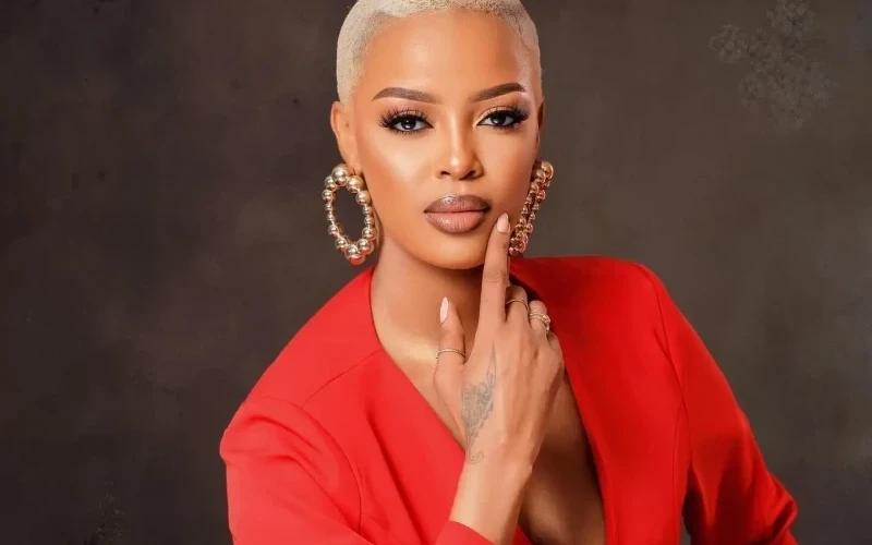 Politics Boosted My Music Fanbase - Nina Roz