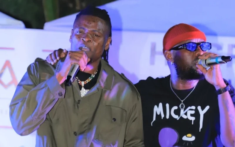 Eddy Kenzo Was Misunderstood by Kadongo Kamu Musicians – Pallaso