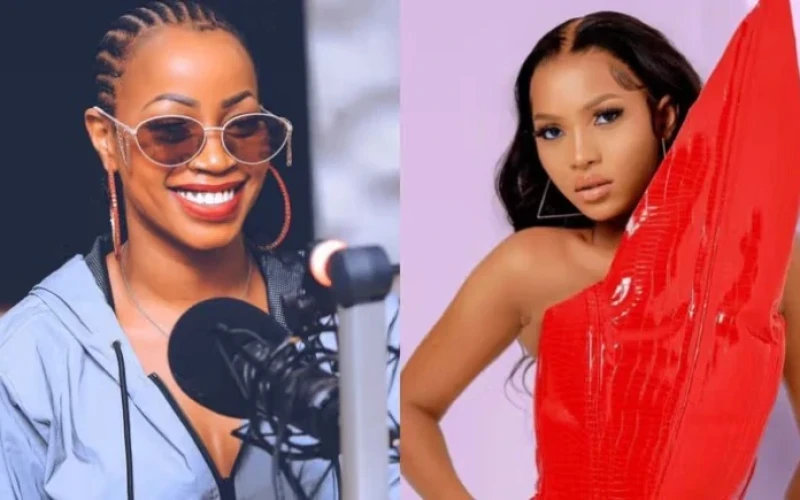 Spice Diana is a selfish person - Sheebah Karungi