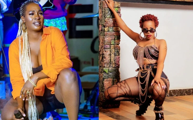 Stop Seeking Validation - Sheebah Blasts Cindy
