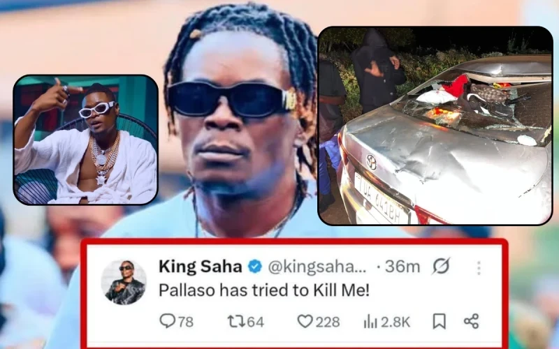 Gov't save me from Pallaso - King Saha Cries For Help!