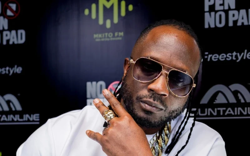 I Will Stage My Concert Next Year – Bebe Cool