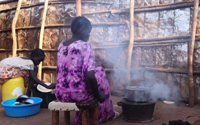 Government Tells Ugandans to Dump Charcoal, Firewood and Embrace Electric Cooking