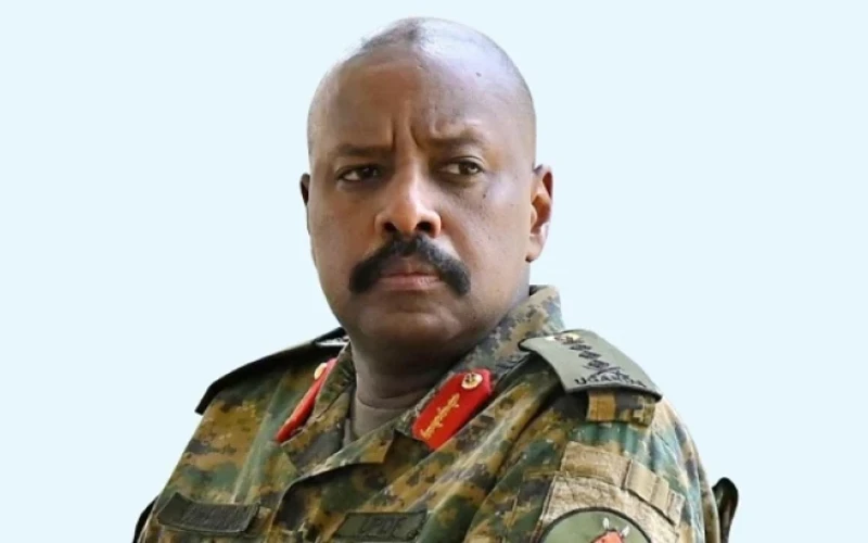 Bars Can Set Their Own Closing Hours - CDF Gen. Muhoozi