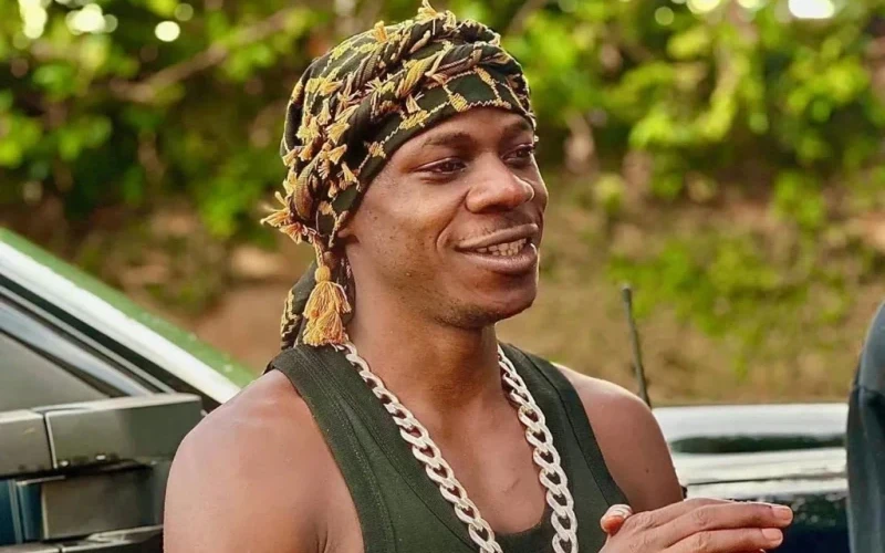 I Am a Senior Presidential Advisor on Ghetto Affairs – Alien Skin