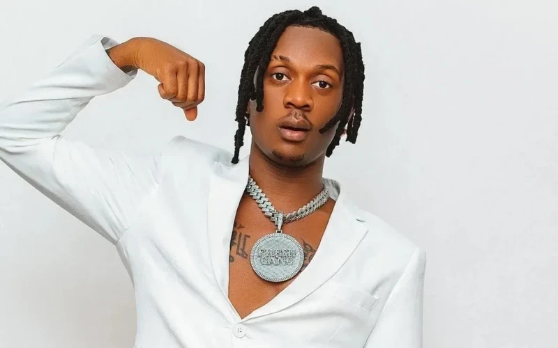 Ask Me for Music, Not Babies – Fik Fameica Tells Fans