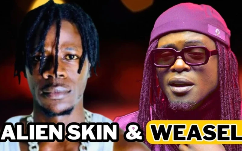 Weasel Can Never Make a Musical Comeback – Alien Skin