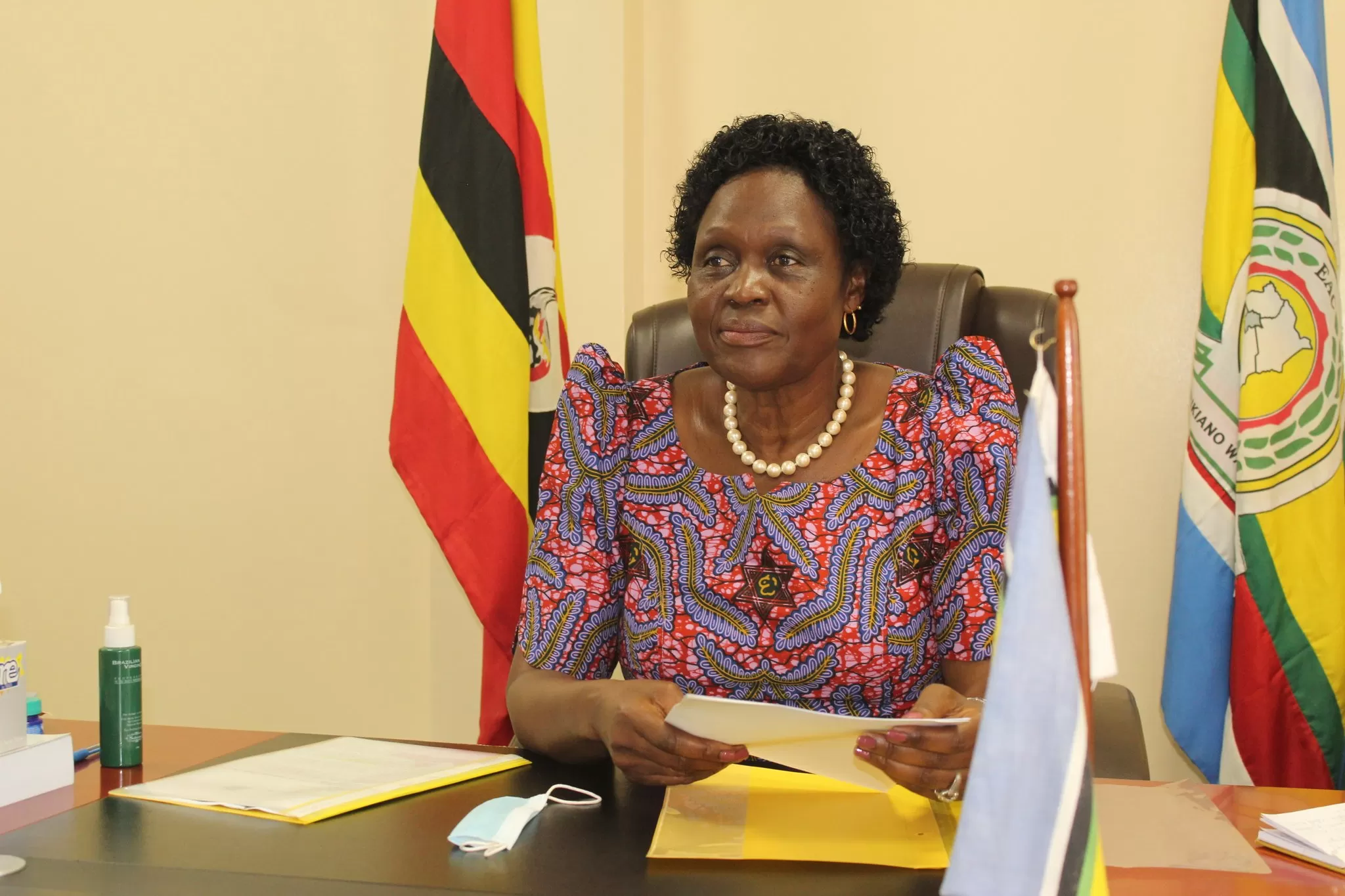 Mama Mabira criticized for abandoning role as Environment Minister