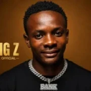 Ndi serous - Big z official