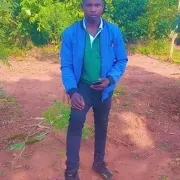 Bull Dozza
