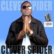 Clever Spider