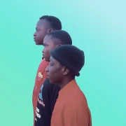 Target Malaria - Homeboiz