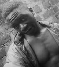 Allan kissa