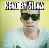 Silva kays