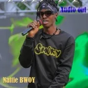 Party - Nattie Bwoy