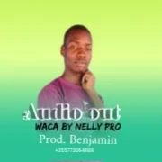 Nelly Pro