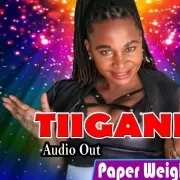 Tiigane - Paper weight