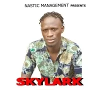 Its Okay - Skylark