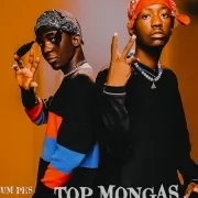 Shake it - Top Mongas