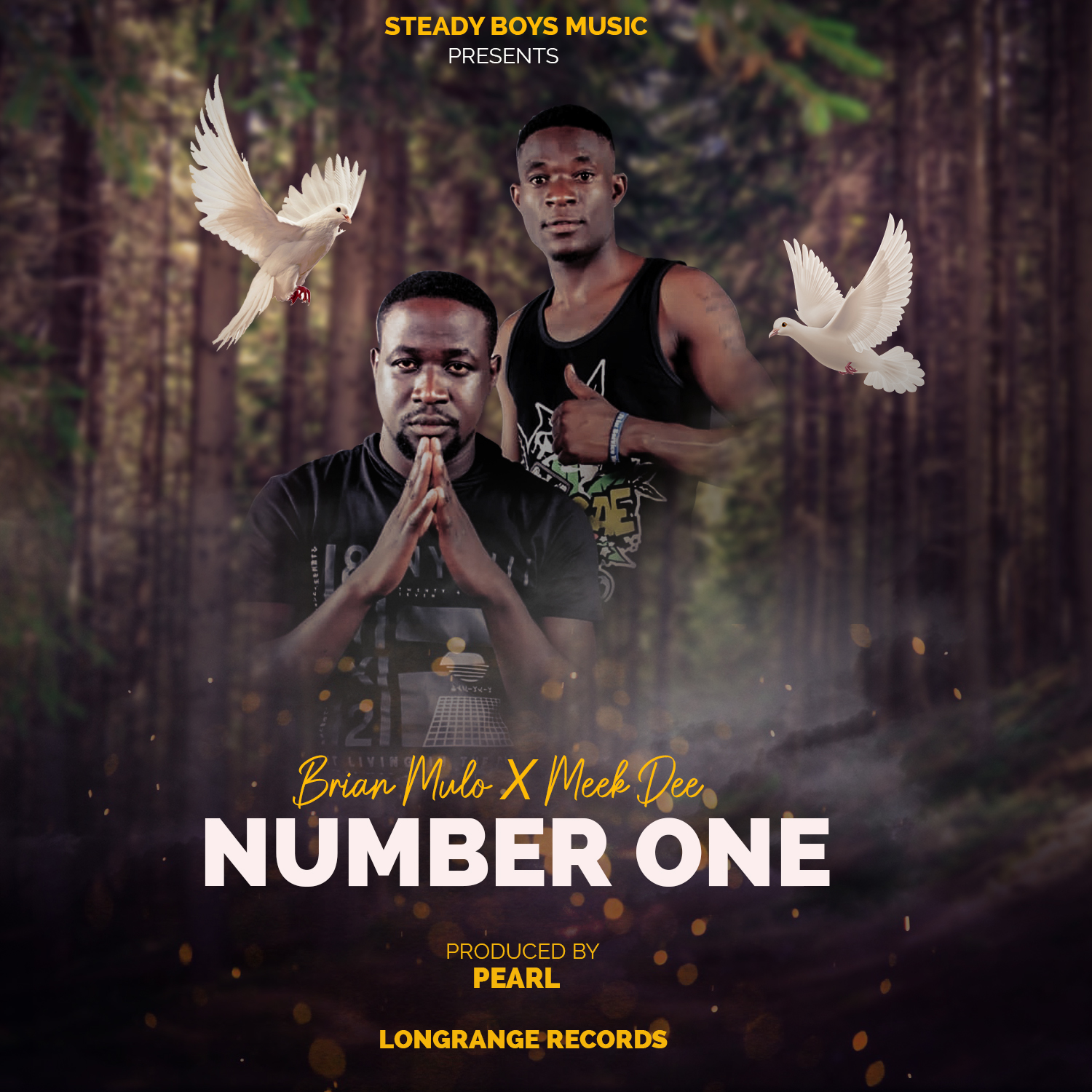 Steady Boys Music Music, Songs, Videos, Mp3 Downloads and Biography