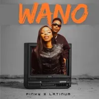 Wano - Latinum & Pinky