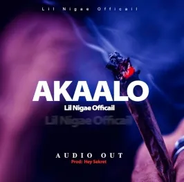 Akaalo - Lil nigae