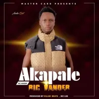 Akapale - Ric Vander official