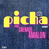 Picha (Remix) - Pinky, Grenade, Amalon