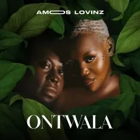 Ontwala - Amos Lovinz