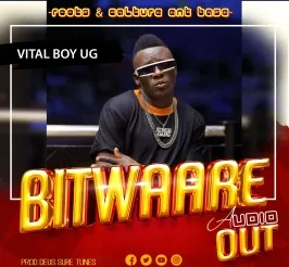 Bitwaare - Vital boy ug