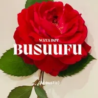 Busuufu - Waya boy