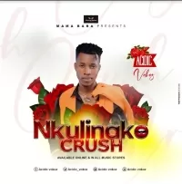 Nkulinako Crush - Acidic Vokoz