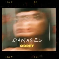 Damages - Odrey