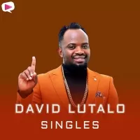 David Lutalo - Singles - David Lutalo
