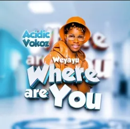 Where Are You - Acidic Vokoz