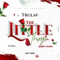 The Little Things (Dont Stop) - Tru Lav