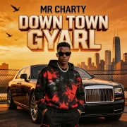 Down town gyal - Mr Charty